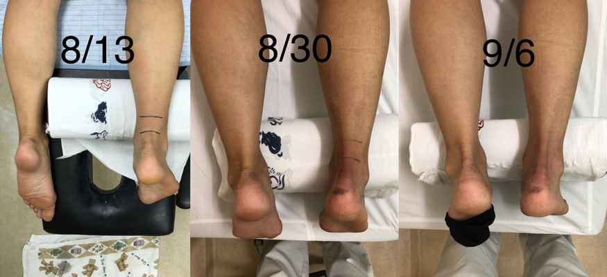 ギャラリー ギャラリー